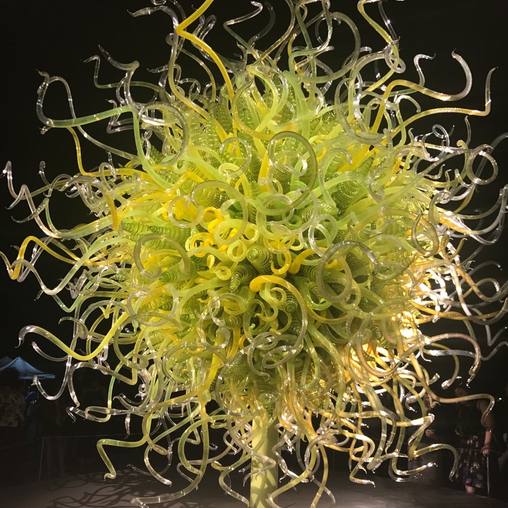 Meet your Posher, Wendy